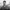 Aktionsbanner